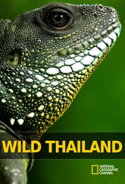 National Geographic. Дикая природа Таиланда