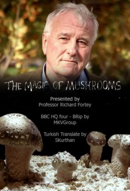 BBC: Магия грибов