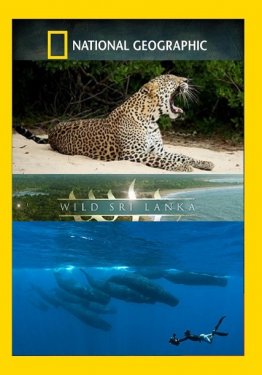 National Geographic. Дикая Шри Ланка 1 сезон все серии