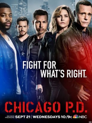 Полиция Чикаго 7 сезон 1-20 серия (Coldfilm, Шадинский)
