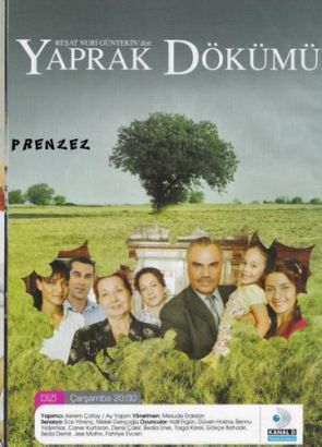 Листопад (Сериал 2006, Турция, Все серии)