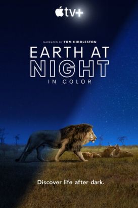 Земля ночью в цвете (Сериал 2020)